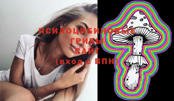 метамфетамин Медвежьегорск