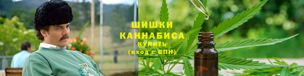 крисы Мегион