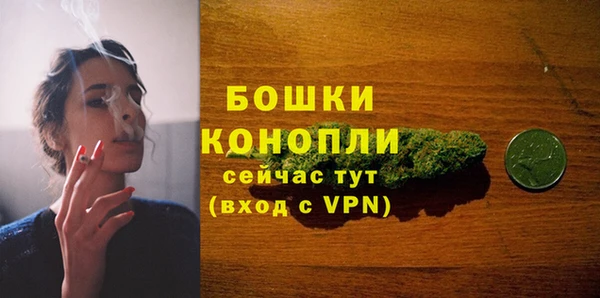 крисы Мегион