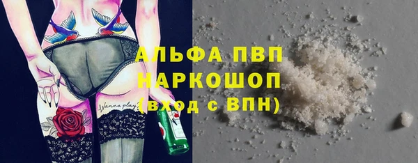 крисы Мегион