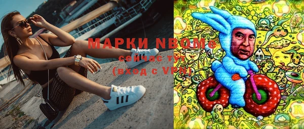крисы Мегион